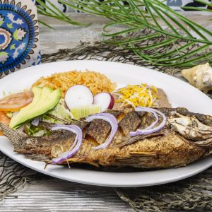 Mojarra_4211